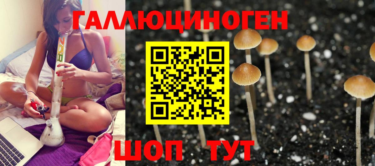 Галлюциногенные грибы мухоморы  Псилоцибиновые грибы GOLDEN TEACHER  наркота  Тутаев  Вход с VPN 